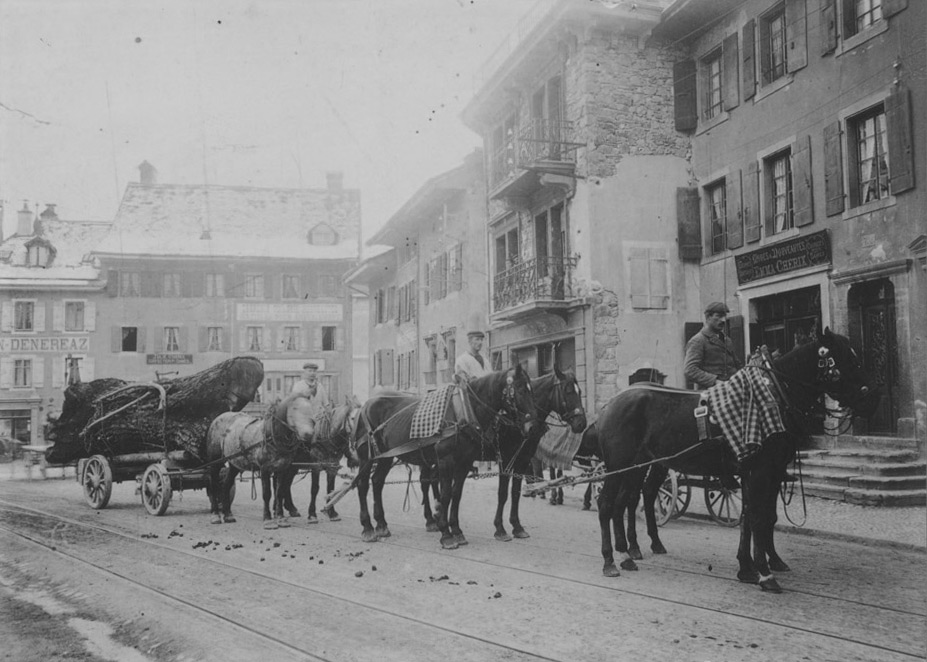 Reproduction photographique du transports d'un tronc de bois à la Place du Marché de Bex