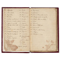 Livret manuscrit des vertus et des soins par les plantes