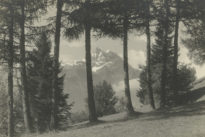 Les Dents-du-Midi vues depuis la région de Bex