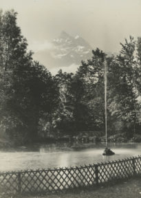 Parc du Grand Hôtel des Salines et les Dents-du-Midi
