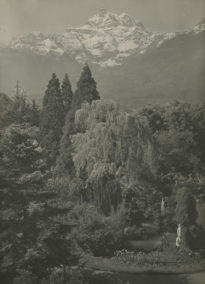 Parc du Grand Hôtel des Salines et les Dents-du-Midi