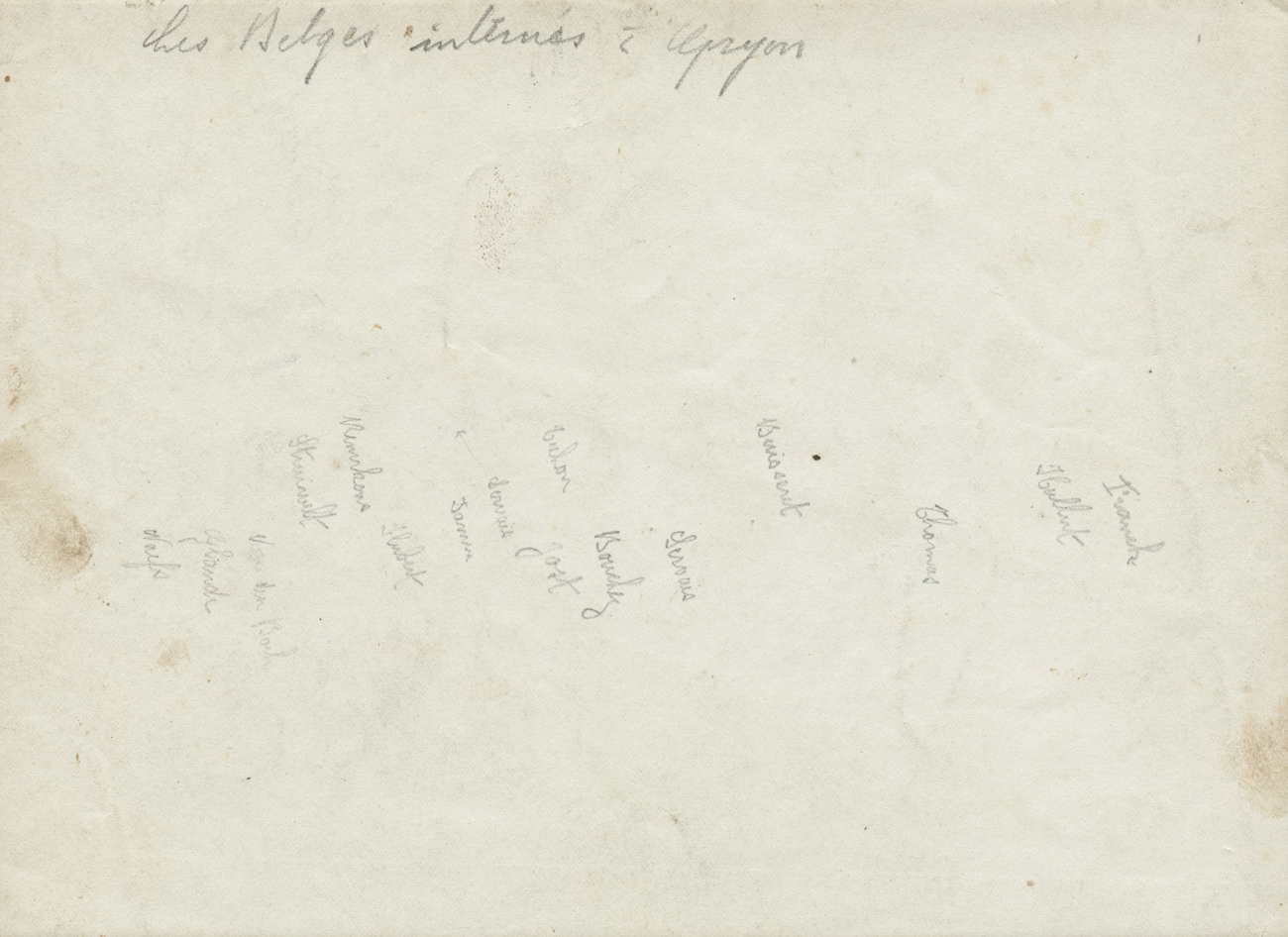 Groupe d'internés belges à Gryon avec quelques noms au verso